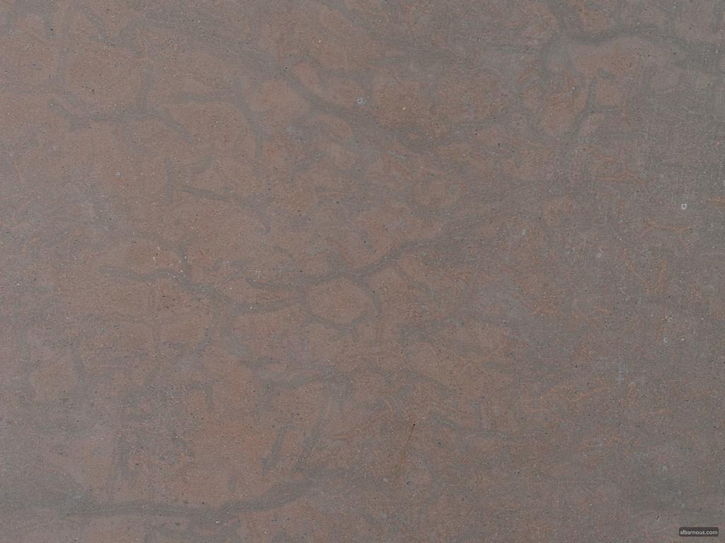 طنجة Albarnous Maison D'Hotes المظهر الخارجي الصورة