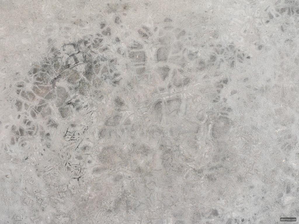 طنجة Albarnous Maison D'Hotes المظهر الخارجي الصورة